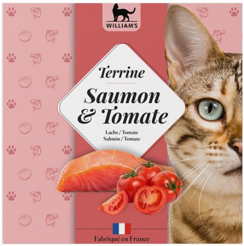 Terrine chat WILLIAM'S Saumon et Tomate 80g